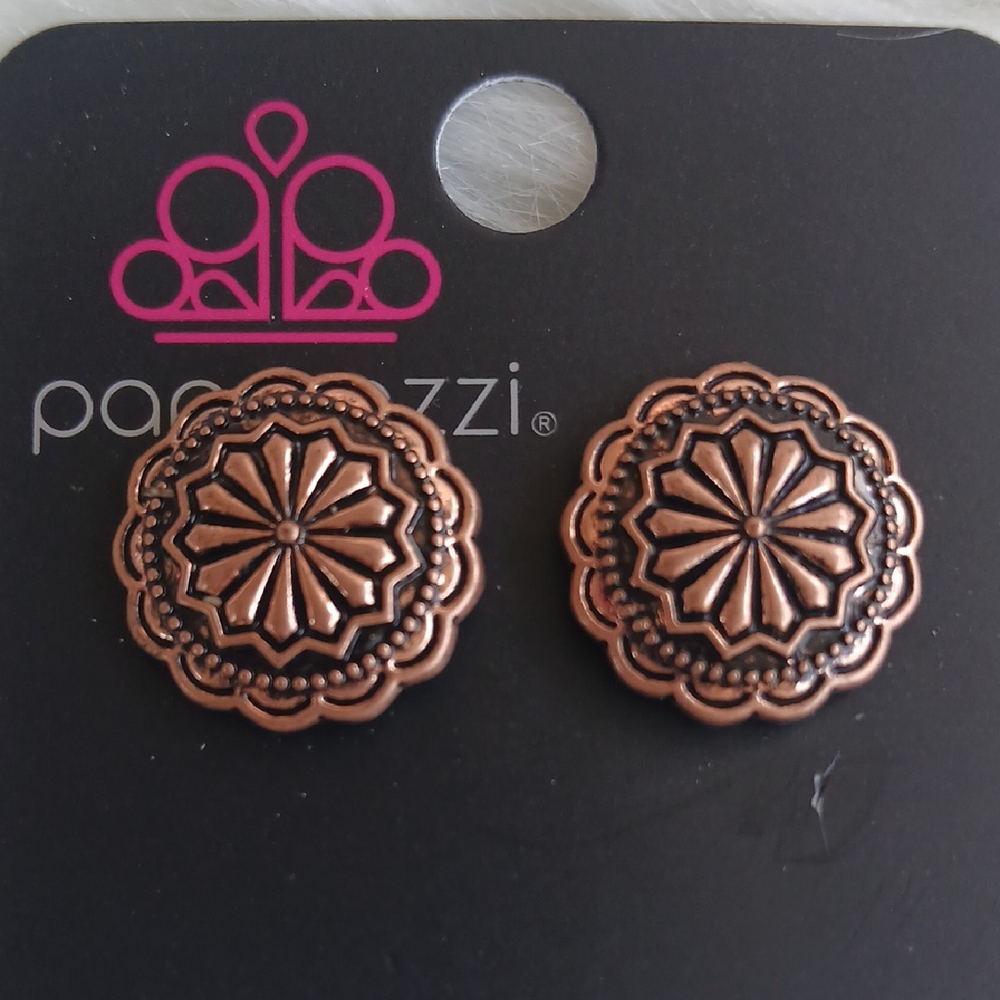 Paparazzi Copper Sunburst Earrings - Picture 4 of 6